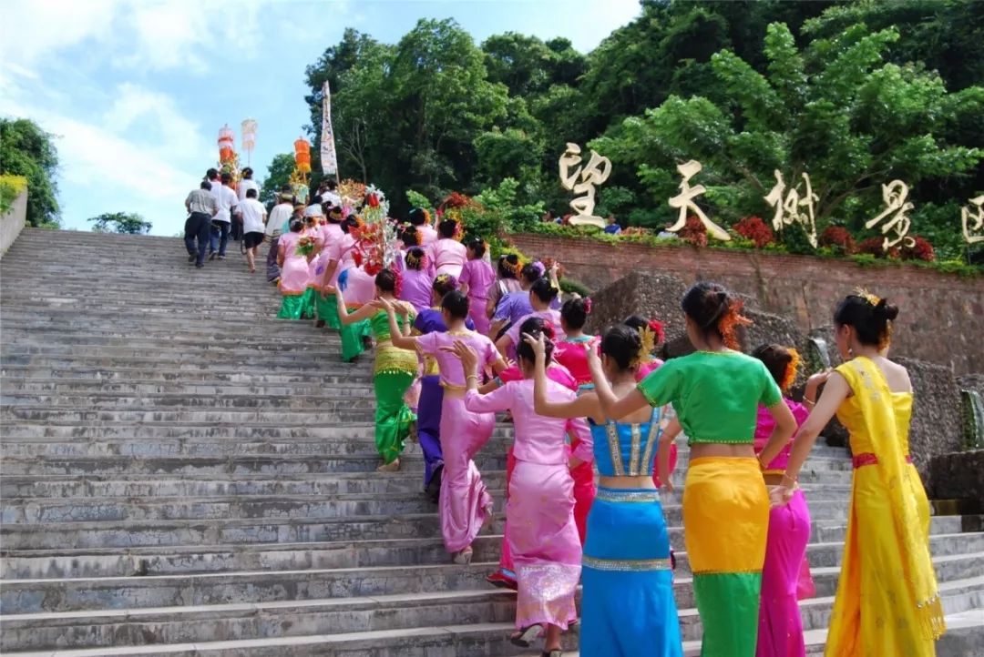 西双版纳热带雨林国家公园望天树景区