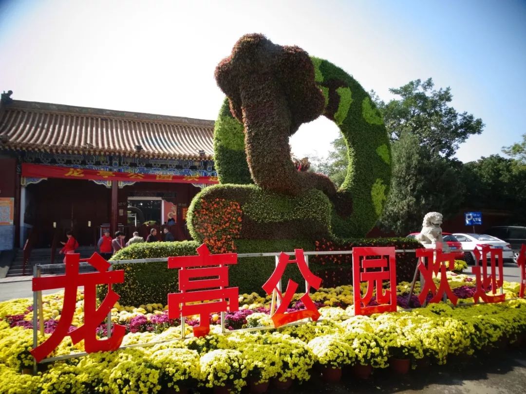 2025開封菊花展時(shí)間、地點(diǎn)及門票價(jià)格一覽