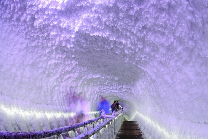 蘆芽山門票購買