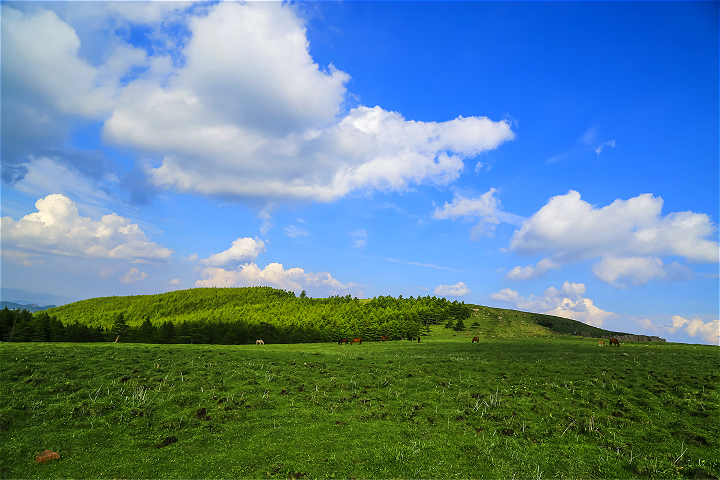 蘆芽山風景名勝區(qū)