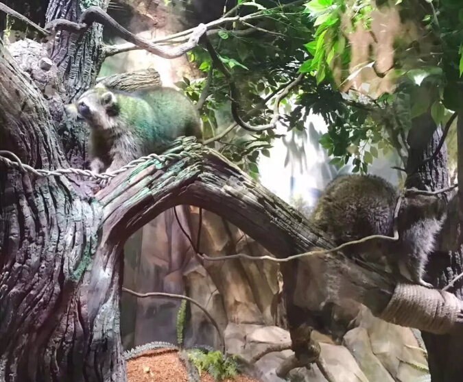 地理位置:潘多拉萌宠乐园位于郑州市大商新玛特金博大店3楼,拥有百余