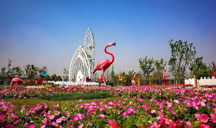上海浦江郊野公园奇迹花园