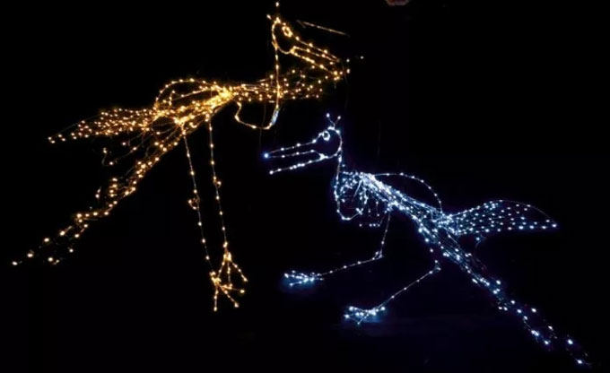俄罗斯金牌创意光影秀《神奇动物在这里》固安站