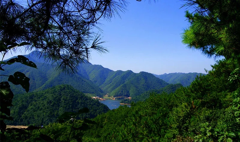富春桃源门票_富春桃源门票团购/价格/怎么样/攻略/吗