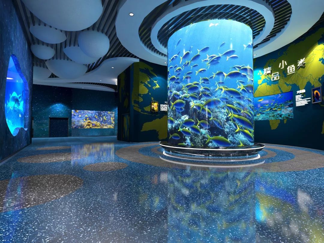 全球最大青蓝洞！深圳市小梅沙海洋馆主体钢结构封顶