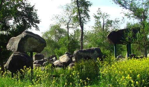 新疆古生态园