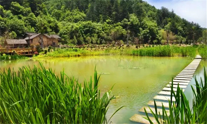 中国秦岭悠然山高山湿地景区