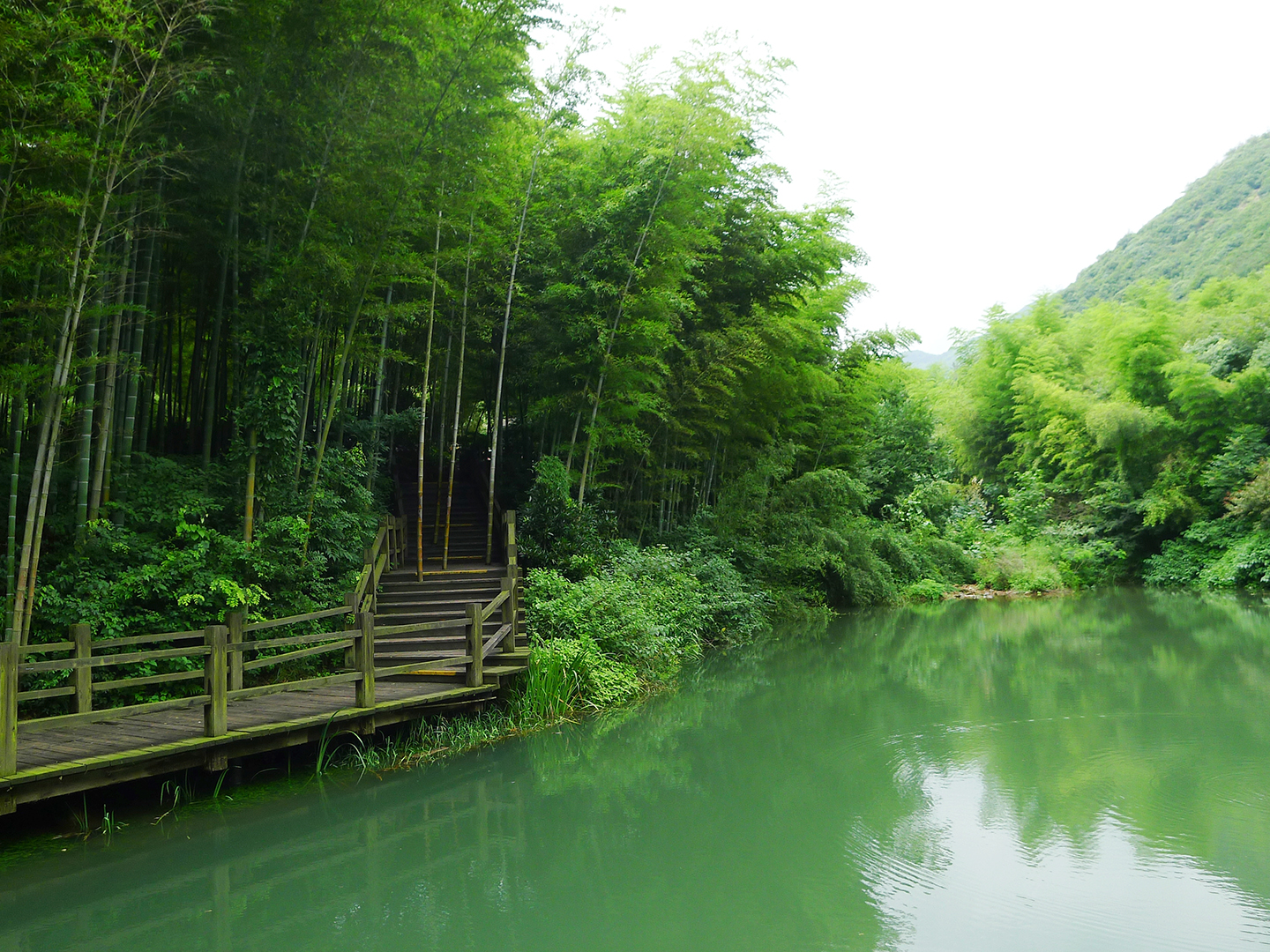 南山竹海门票_南山竹海门票预订/团购/怎么样/优惠票