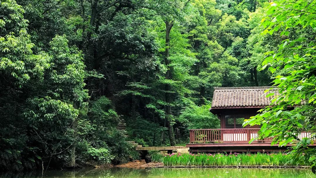 安吉灵峰山