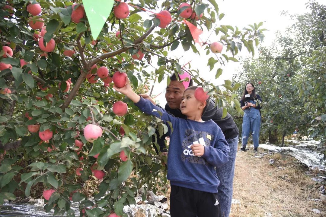 臥龍灣康養(yǎng)小鎮(zhèn)