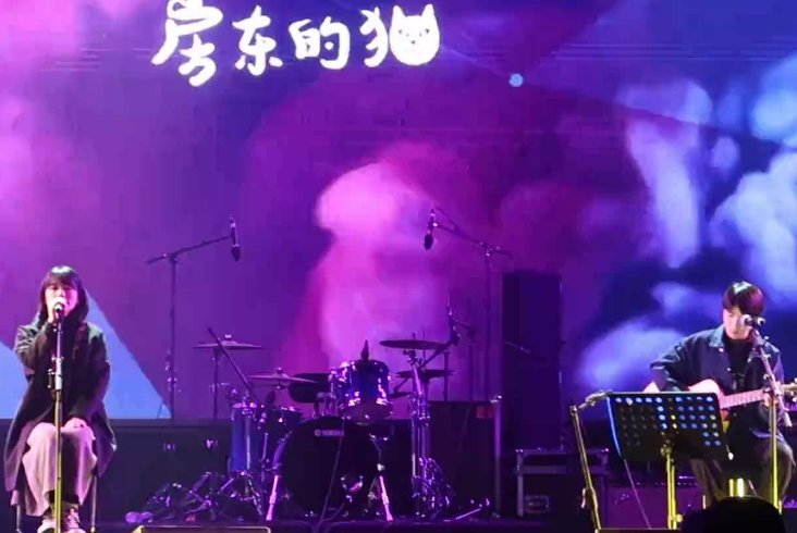 2019房东的猫重庆演唱会