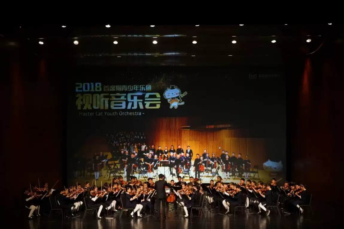 2019重庆首席猫乐团音乐会