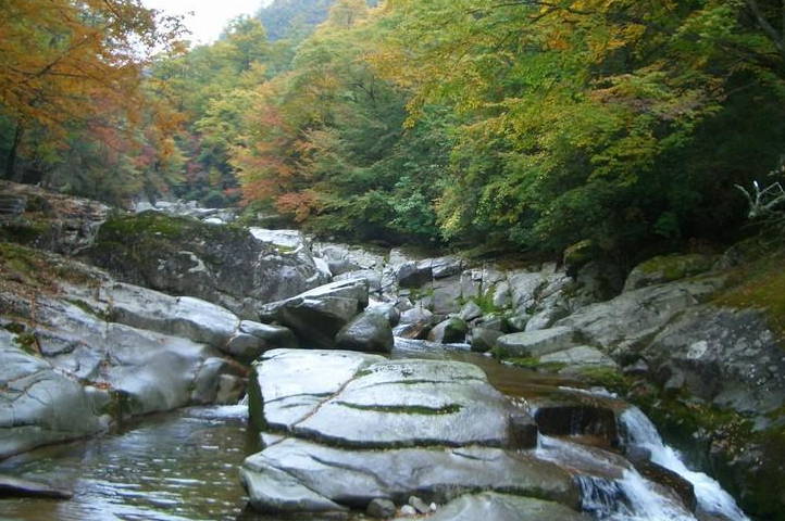 2019米仓山旅游景区