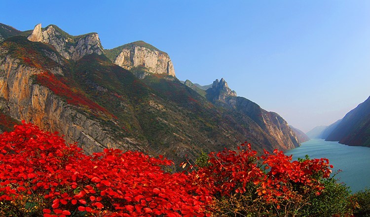 发布 时间:2020-07-31 19:04 第十三届重庆长江三峡(巫山)国际红叶