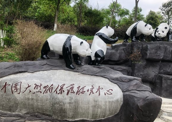 2019都江堰熊猫乐园