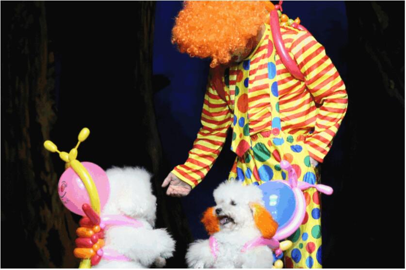 小丑动物嘉年华之反斗动物城呼和浩特演出门票
