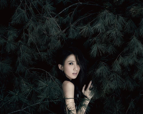 戴佩妮武汉演唱会