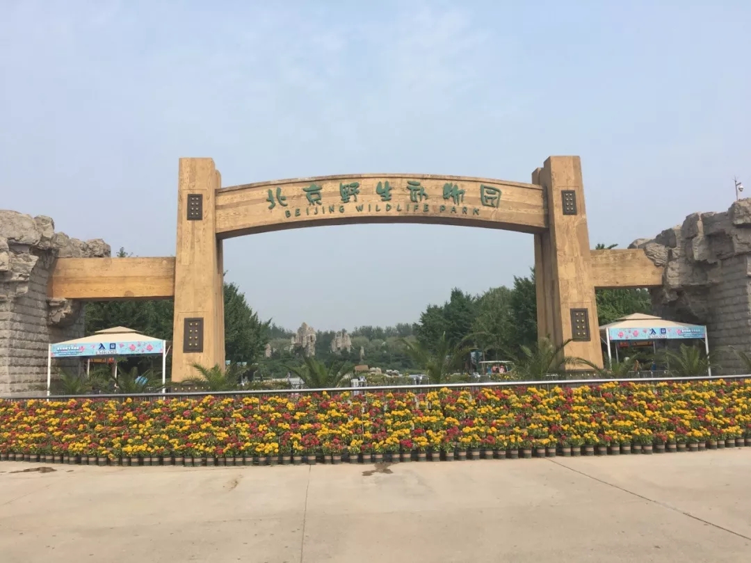 北京野生動物園游玩攻略、必去理由及游覽線路