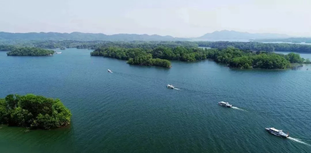 南湾湖风景区门票,信阳南湾湖风景区好玩吗?有何特色?