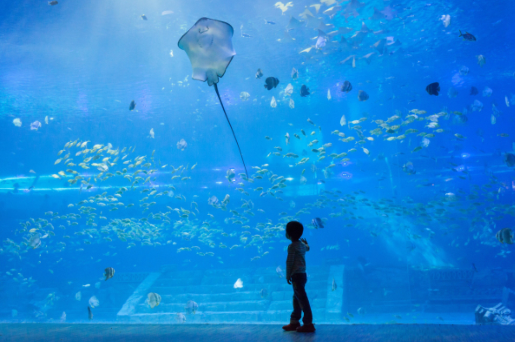 重慶漢海海洋公園