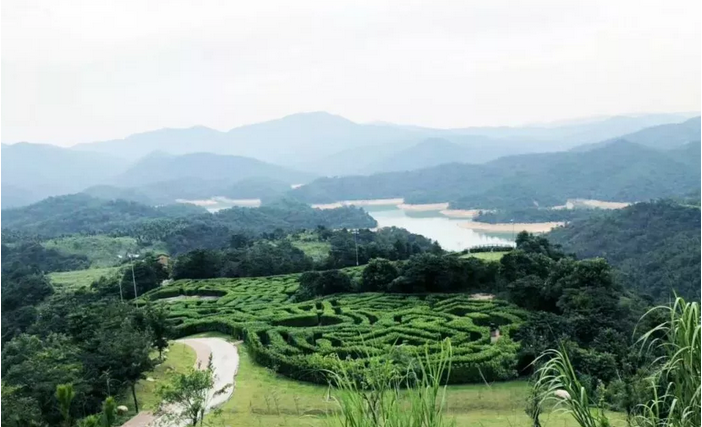 九龍湖生態(tài)公園