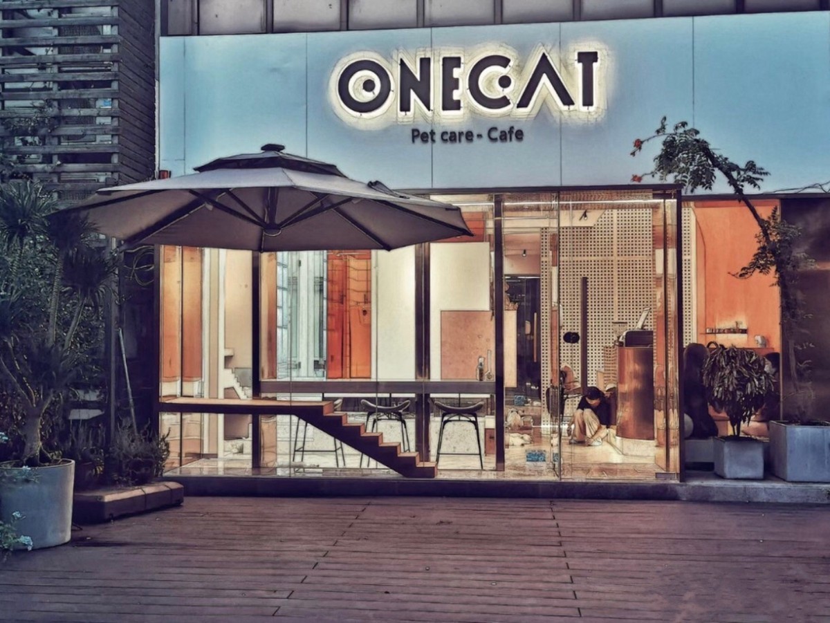 苏州onecat壹猫宠物工作室
