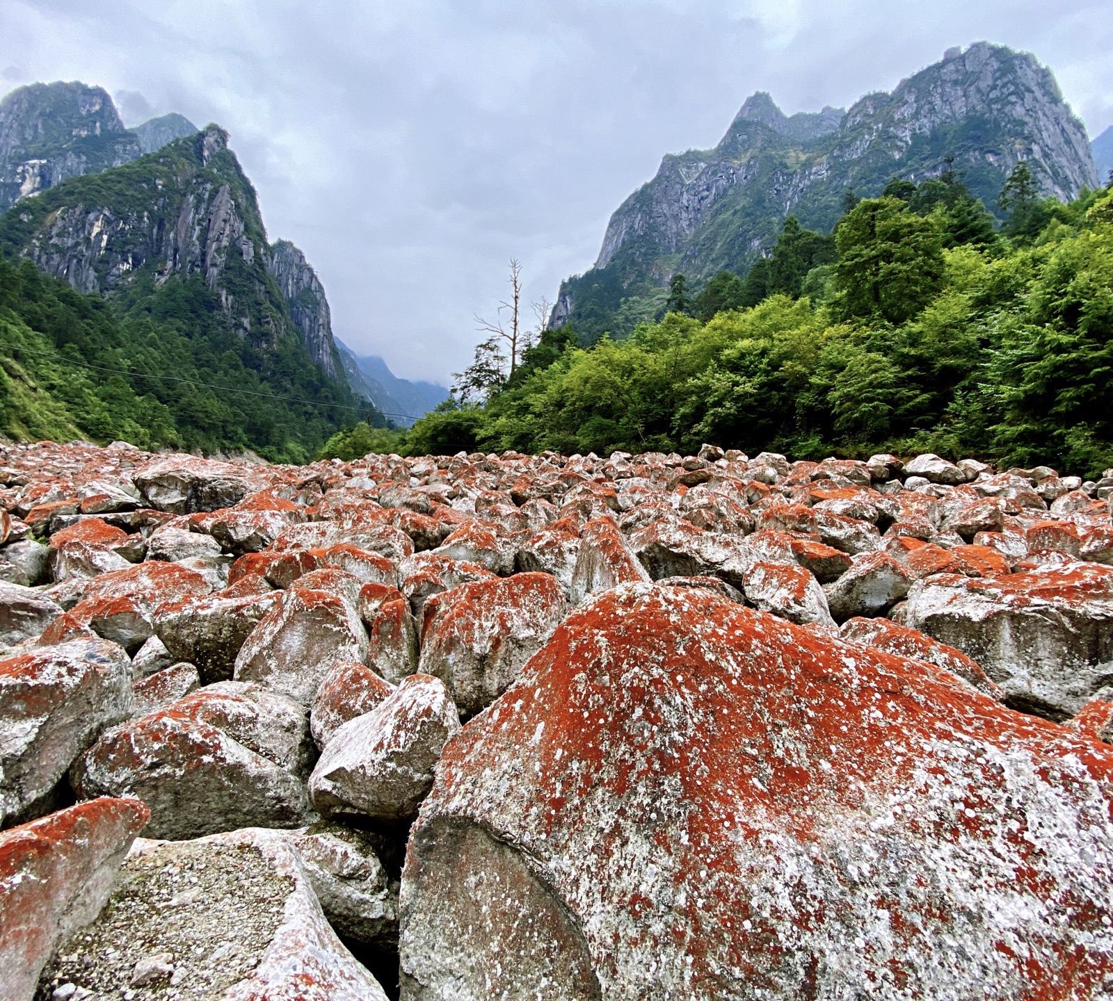 燕子沟景区门票多少钱/攻略/图片_燕子沟风景区门票