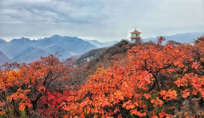 北京北京药王谷风景区