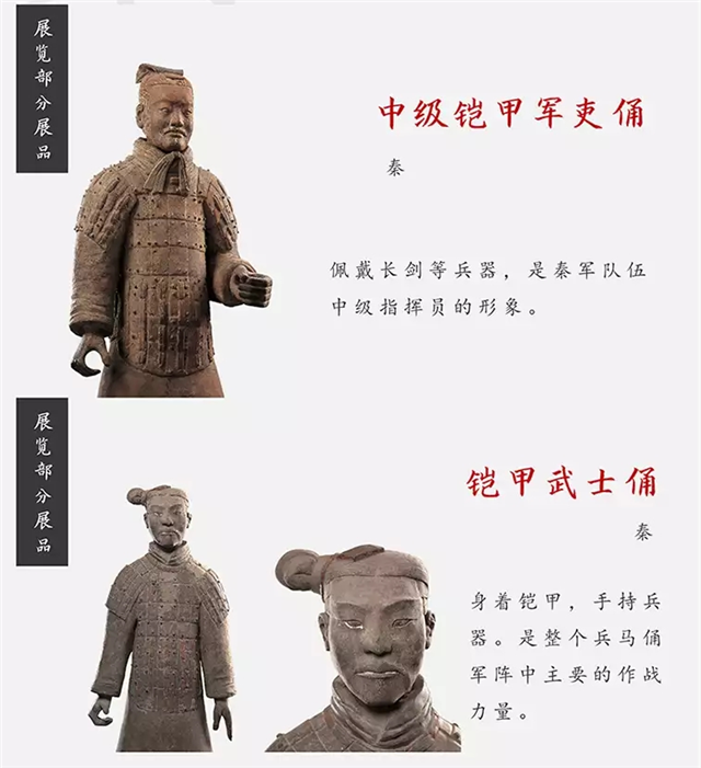贵州省博物馆兵马俑展门票信息,在线订票,展览详情