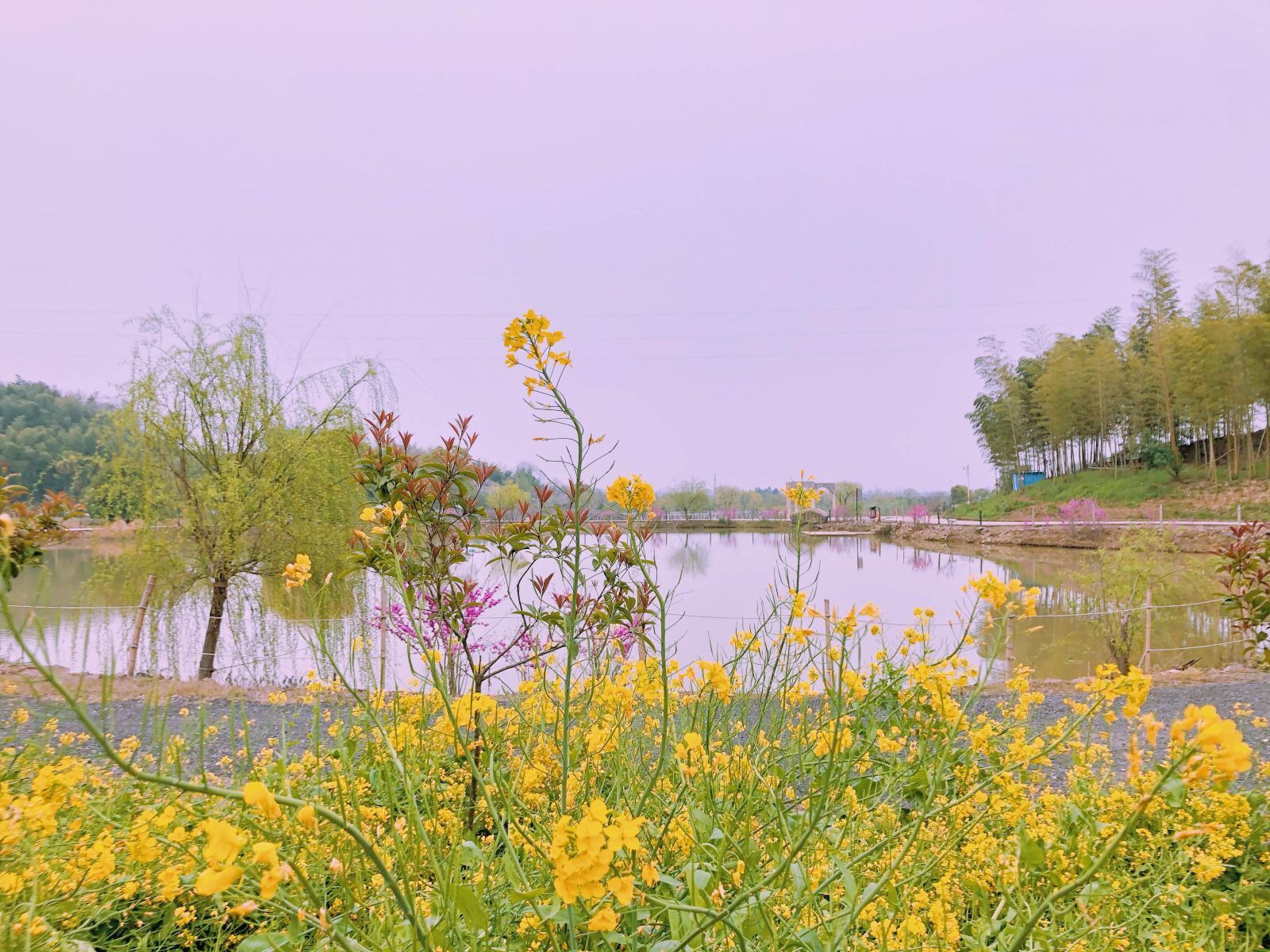 天目湖龙潭花谷