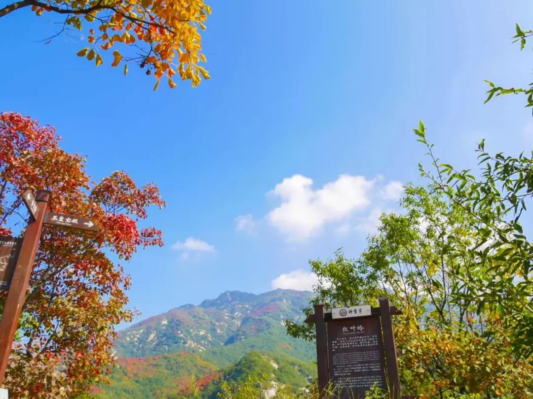 神靈寨旅遊景點推薦,洛陽神靈寨一日遊