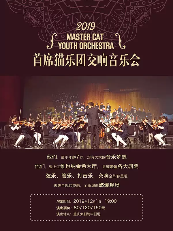 重庆首席猫乐团音乐会