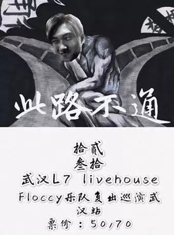 Floccy乐队武汉演唱会