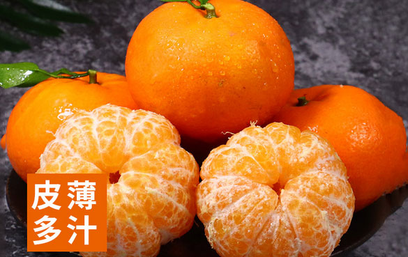 精选广西武鸣沃柑橘蜜柑新鲜水果蜜桔子非丑橘当季净5斤大果包邮