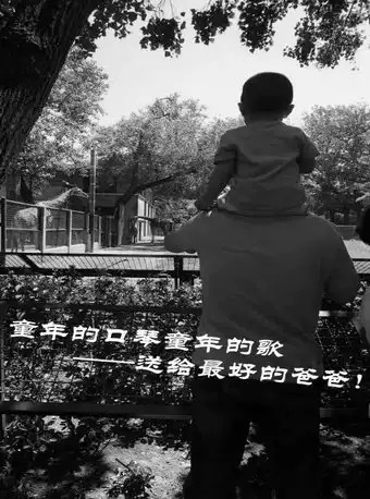 童年的口琴童年的歌送给最好的爸爸主题音乐会北京站