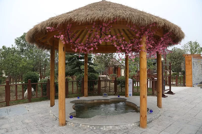 鄢陵金雨玫瑰庄园温泉图片