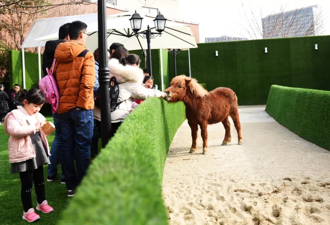 上海亚马逊萌宠公园