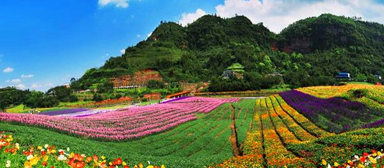 清溪谷旅游区花田酒地景区好玩吗?有什么游玩设施?