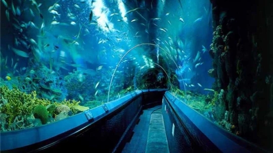 蚌埠海贝海洋乐园