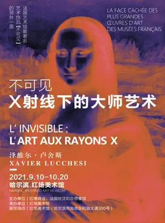 哈尔滨《不可见：X射线下的大师艺术》展览