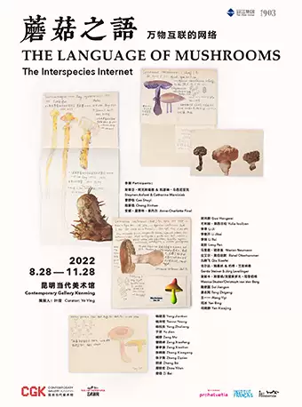 昆明蘑菇之语万物互联的网络展览