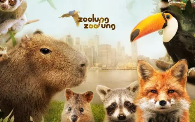 zoolung zoolung動物主題公園