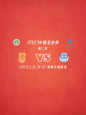重庆2023足协杯第二轮（重庆铜梁龙vs石家庄功夫）