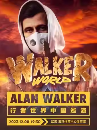 Alan Walker艾倫沃克武漢演唱會(huì)