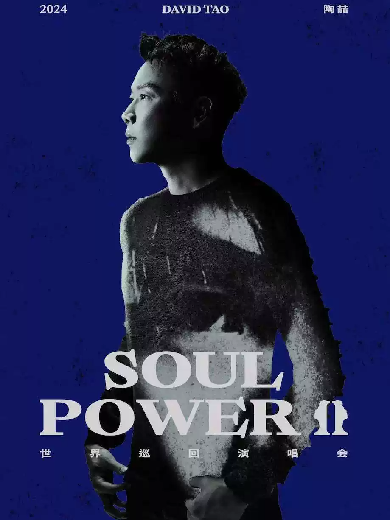 【重庆】2024陶喆“Soul PowerⅡ”世界巡回演唱会-重庆站