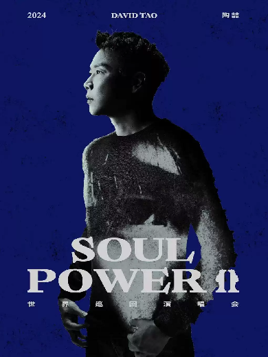 2024陶喆“Soul PowerⅡ”世界巡回演唱會(huì)——合肥站