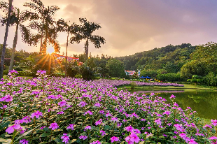 云臺(tái)花園