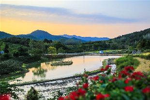 京山农场