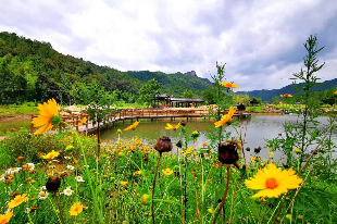 云峰山长情谷旅游景区