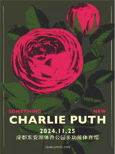 断眉Charlie Puth成都演唱会